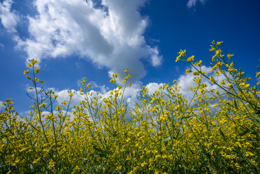 Similar image 21441411