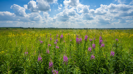 Similar image 21441566