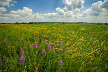 Similar image 21441569