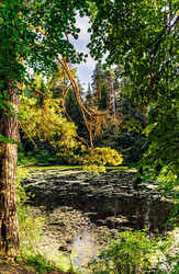 Similar image 21442063