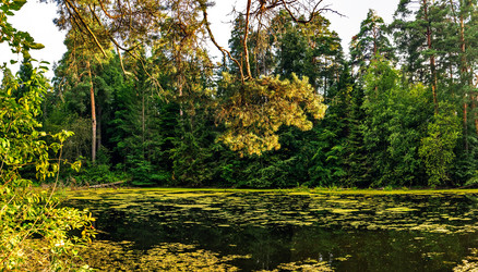 Similar image 21442064