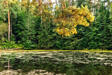 Similar image 21442066