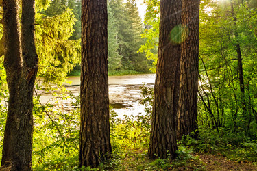 Similar image 21442420