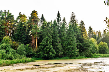 Similar image 21442421