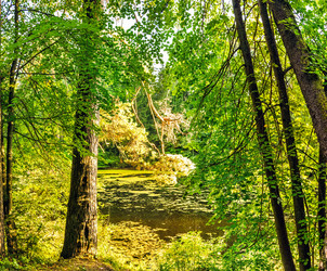 Similar image 21442423