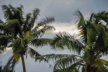 Similar image 21441578