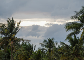 Similar image 21441579