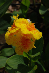 Similar image 21441589