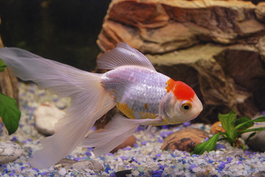 Similar image 21441791