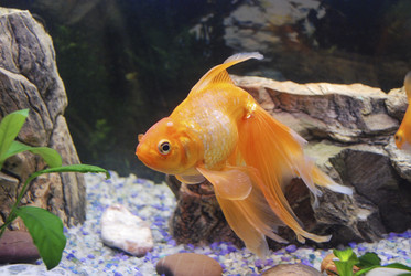 Similar image 21441793