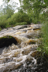 Similar image 21441805