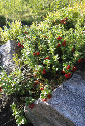 Similar image 21441809