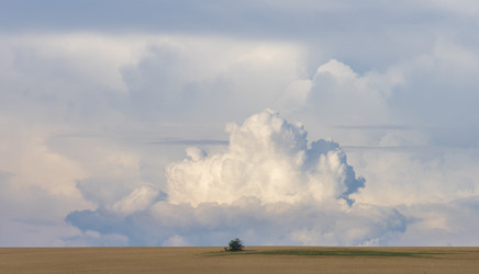 Similar image 21441987