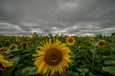 Similar image 21441988