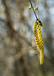 Similar image 21441989