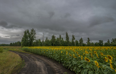 Similar image 21441990