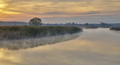 Similar image 21441991