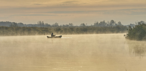 Similar image 21441995