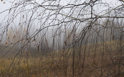 Similar image 21441996