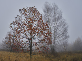 Similar image 21441997