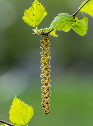 Similar image 21442001