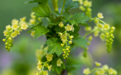 Similar image 21442002