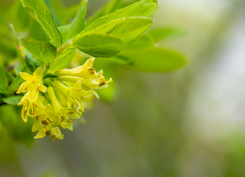 Similar image 21442006