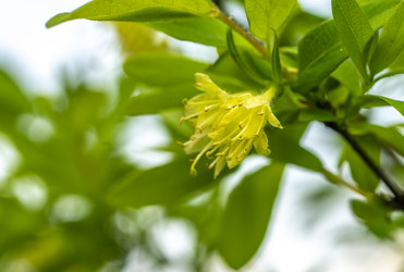 Similar image 21442008