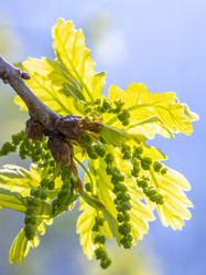 Similar image 21442011