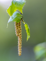 Similar image 21442431