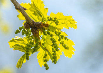 Similar image 21442432