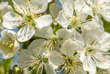 Similar image 21442433