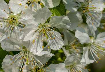 Similar image 21442436