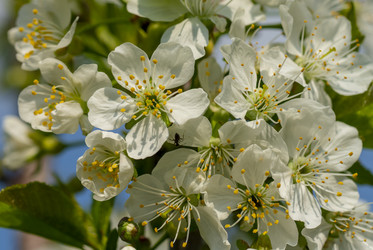 Similar image 21442439