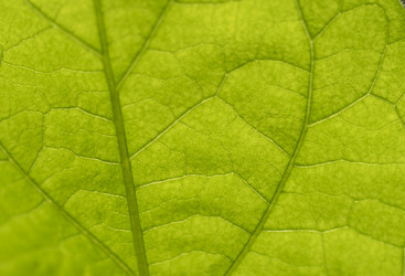 Similar image 21442440