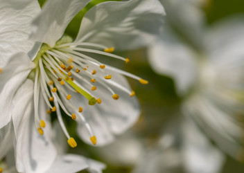 Similar image 21442443