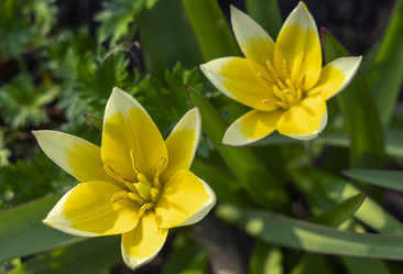 Similar image 21442447