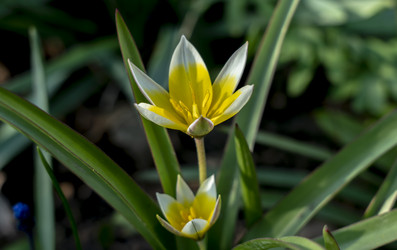 Similar image 21442449