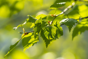 Similar image 21442450