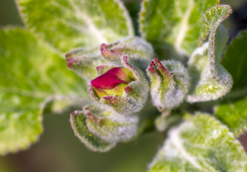 Similar image 21442452