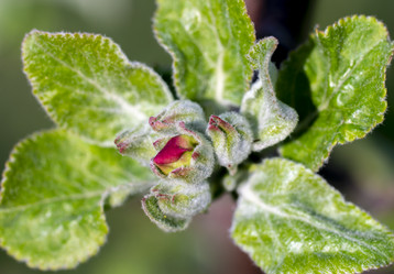 Similar image 21442454