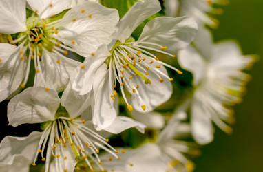 Similar image 21442456