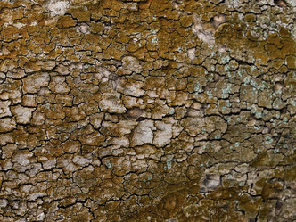 Similar image 21443715