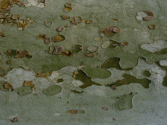 Similar image 21443516