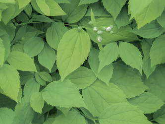 Similar image 21443517