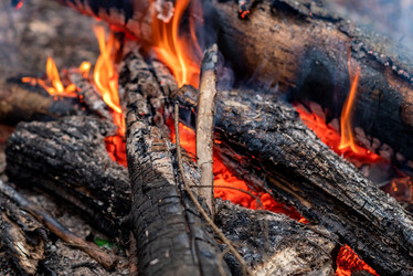 Similar image 21440253