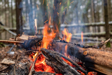 Similar image 21445006