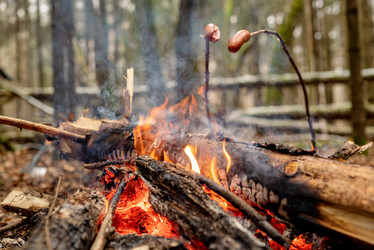 Similar image 21440254