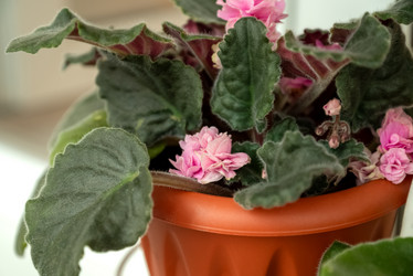 Similar image 21444470