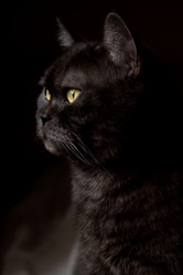 Similar image 21440257